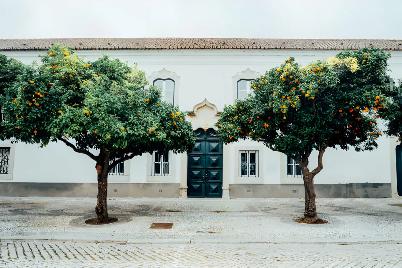 Reviving History: The Art of Heritage House Painting